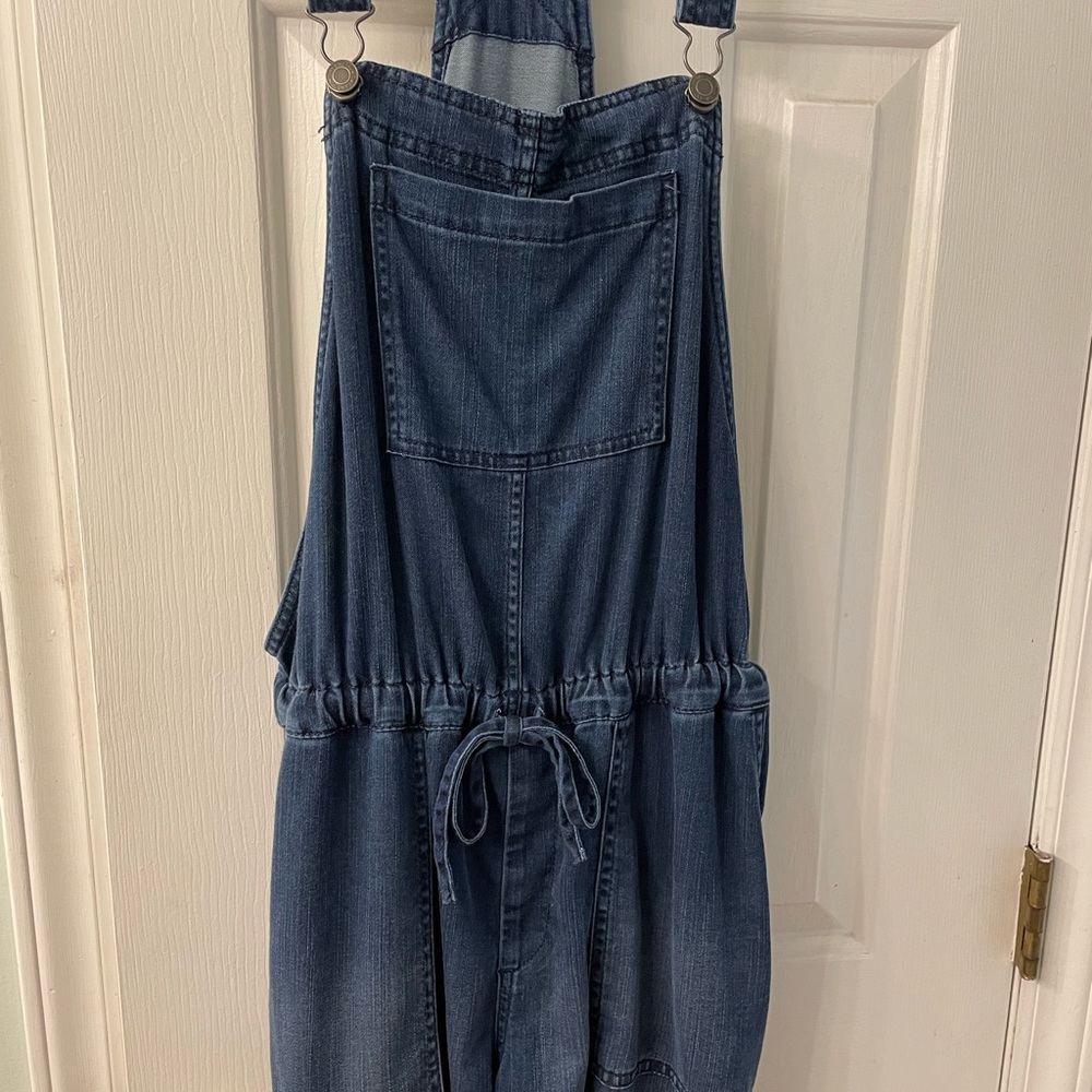 Time & Tru denim overalls.